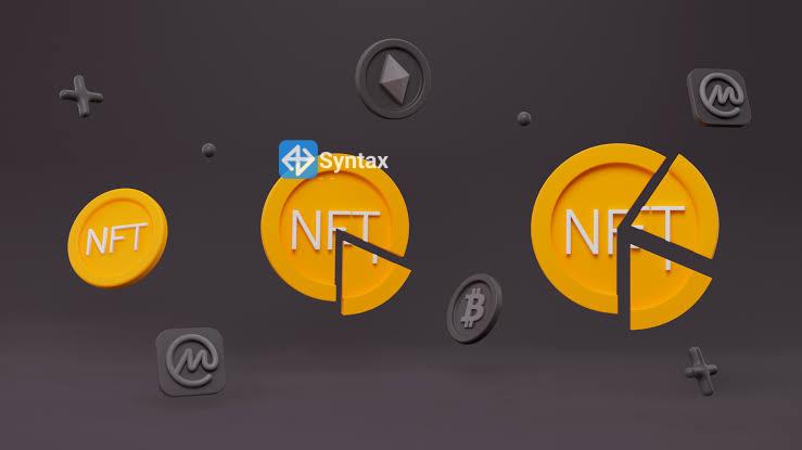 What are fractional NFTs? - Syntax Verse