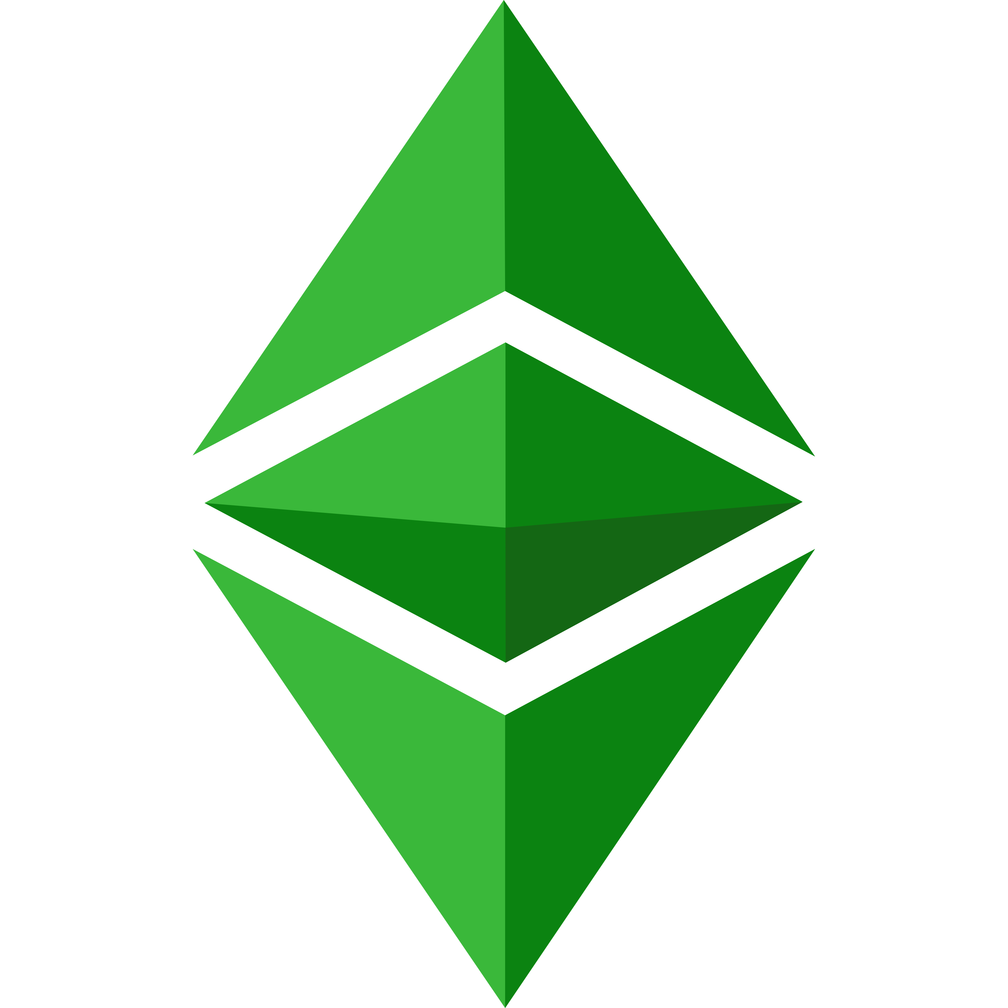 Ethereum Classic Image/Icon